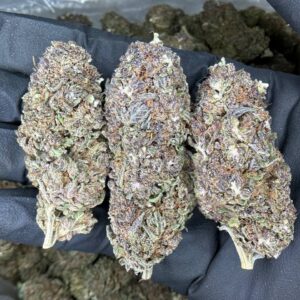 Grand Daddy Purple