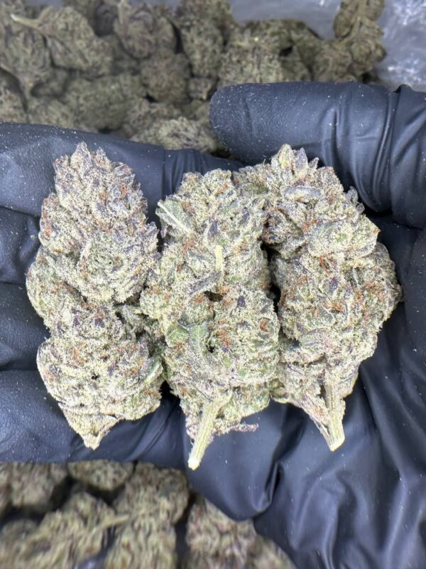 purple cream strain