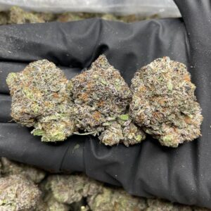 purple granimals