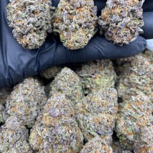 Buy Purple Grapelatto Strain