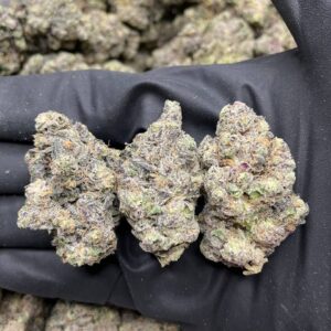 Purple Gush Mint strain