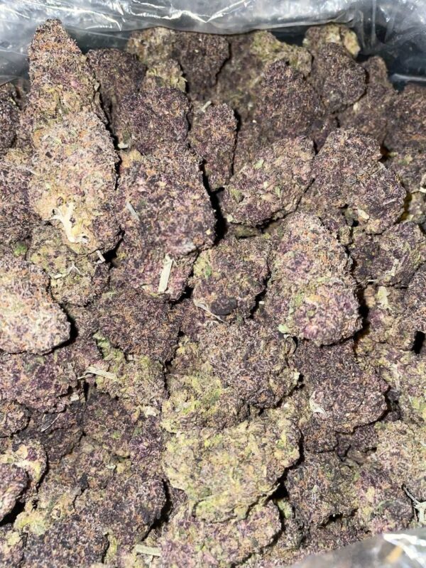 Purple Urkle Strain