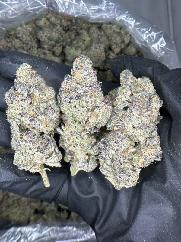 Purple KushMint