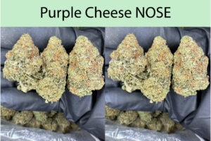 Purple Cheese NOSE