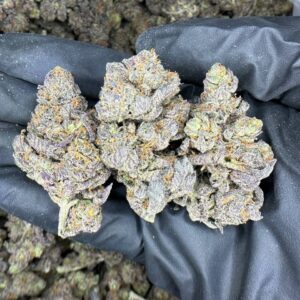 Purple Punch