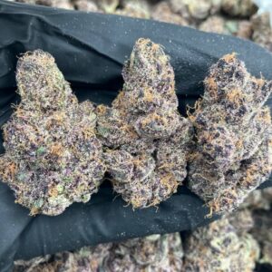 Purple Gengar Strain