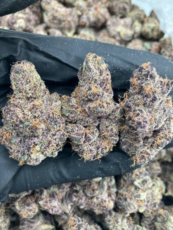 Purple Gengar Strain